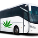 Image for article titled 7 Stoney Gifts for the Cannabis Connoisseur